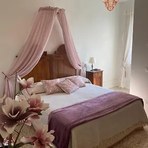 Christy House Vignale (Parma)